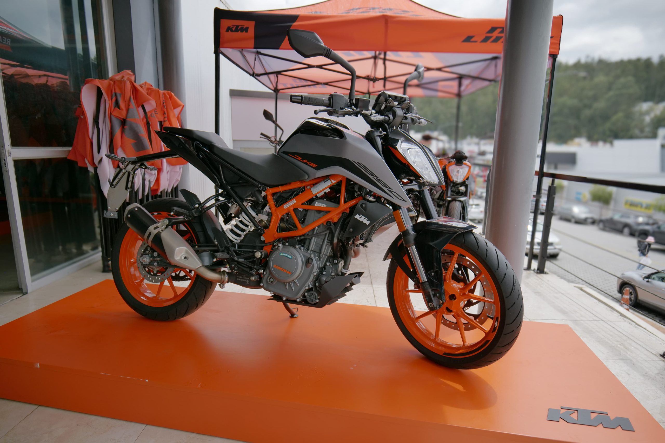 WhatsApp Image 2025-03-07 at 12.28.22 PM (1)